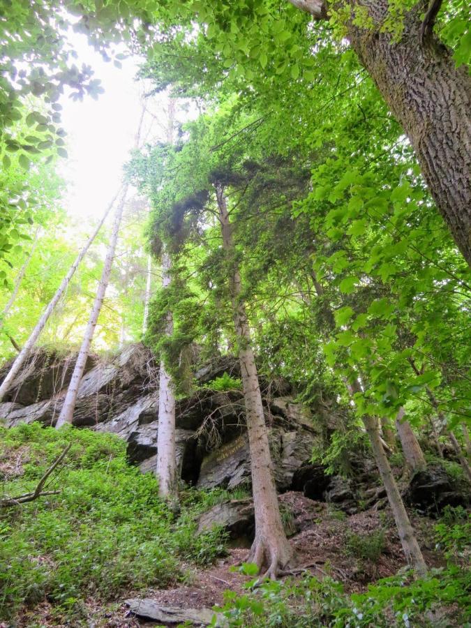 Chez Petit Gust Welkom In La Roche En Ardenne Eksteriør bilde